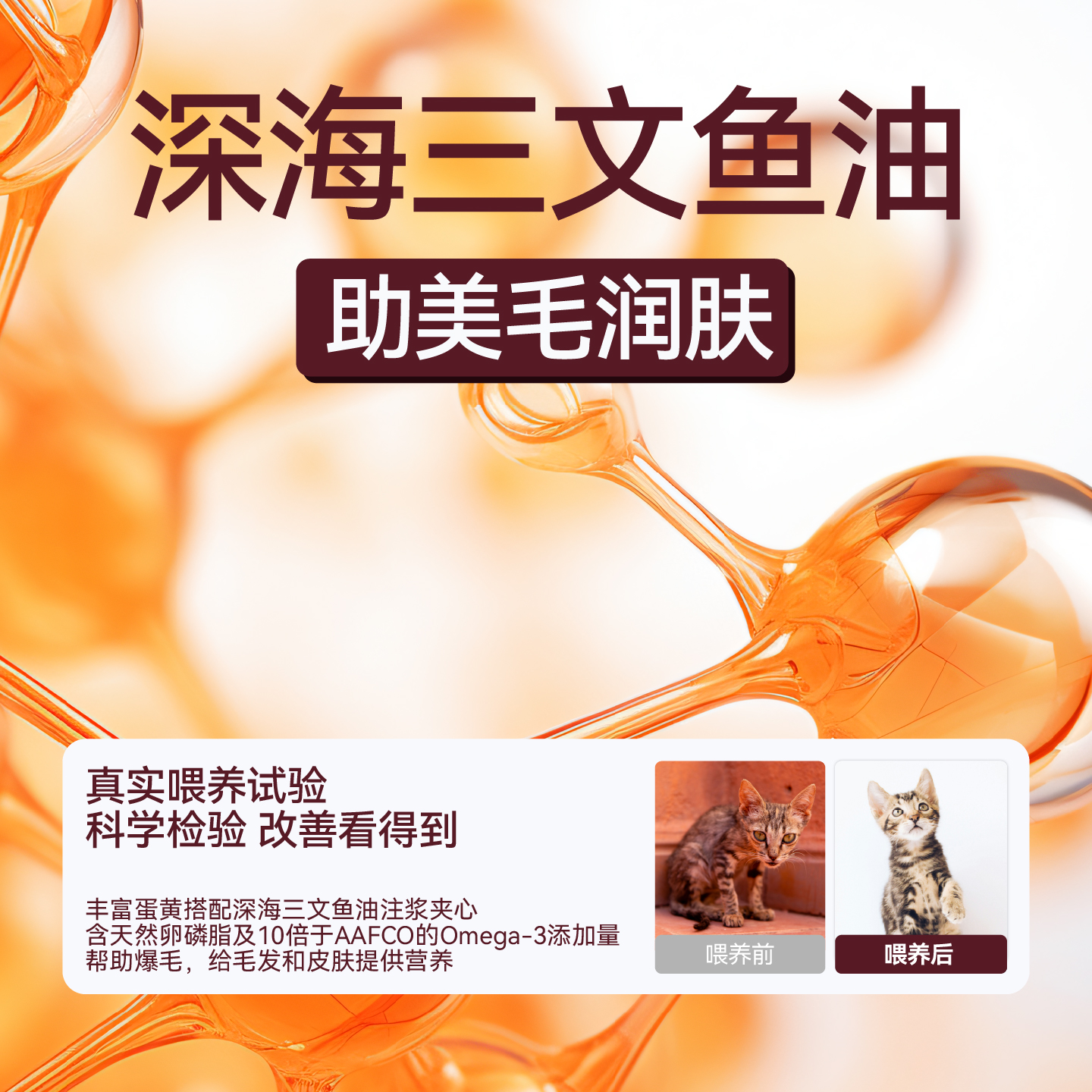 毛星球烘焙猫主粮鱼油成幼猫无谷全阶段鸡肉兔肉干粮零食试吃装 - 图2