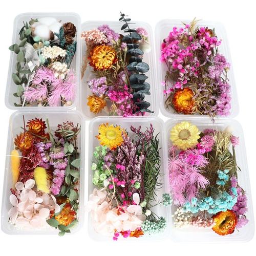 Real Dried Flower Plants For DIY Accessories Multiple Floral-图0