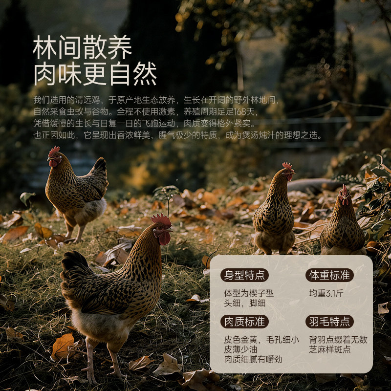 林小生90%鸡汤鸡汁调料替代鸡精味精调味料高汤炒菜家用无防腐剂