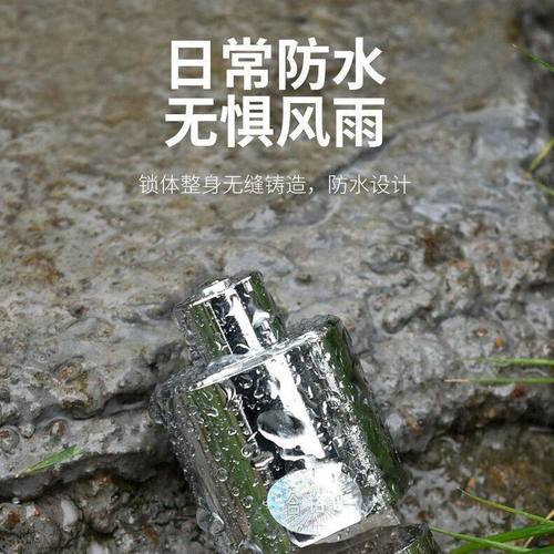 电动车锁碟刹锁摩托车防盗锁带锁山地自行车锁电车刹车盘车 - 图0