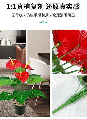 仿真植物红掌假花束客厅室内装饰盆栽摆设塑料绿植假花小盆景摆件
