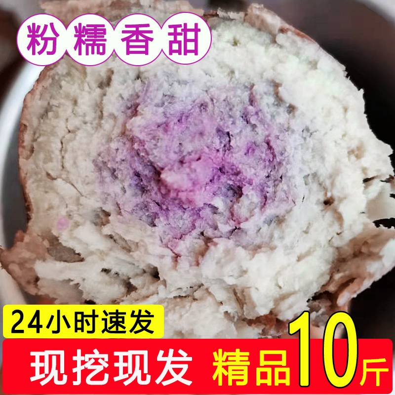 正宗一点红广东粉糯薯山芋新鲜现挖 零居番薯