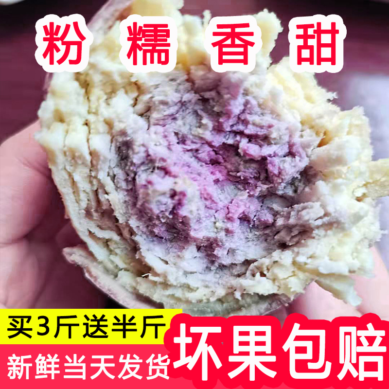 正宗一点红红薯广东粉糯地瓜板栗薯山芋新鲜现挖冰淇淋番薯紫心薯 - 图0