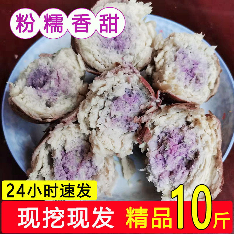 正宗一点红广东粉糯薯山芋新鲜现挖 零居番薯