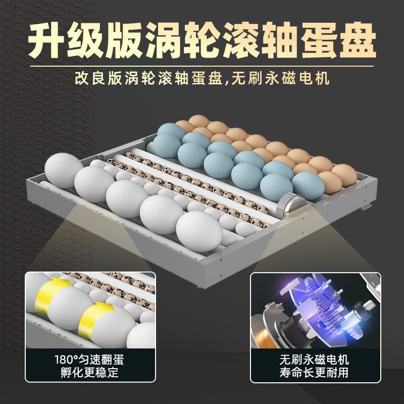 【全新升级】孵化器全自动孵化机小型家用智能鸡鸭鹅孵蛋器孵化箱 - 图0