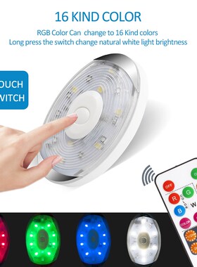 LED nder Cabinet Light  Kitchen Led Closet Light Remote cont