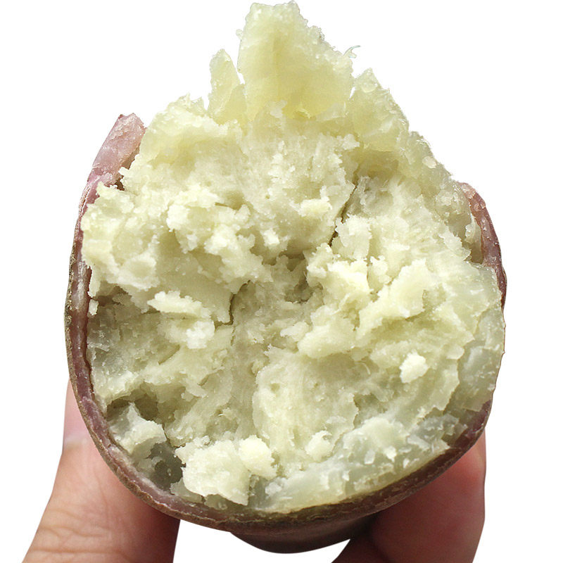 正心冰淇淋白心薯9斤新鲜香甜地瓜 唱果歌生鲜番薯