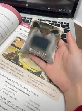 我是爷们按压语音挂件搞