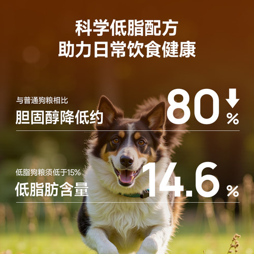 【尝鲜价】食物链小仙豆F60+全价低脂狗粮老年犬狗粮主食鲜食狗粮 - 图1