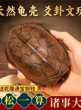 老式王八壳风水摇铜钱摆件