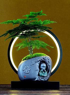 办公室植物盆栽摆件开业常青树绿植文竹小盆景客厅玄关桌面装饰品