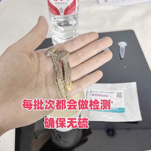中条鹿茸菇干货250g500g包邮干度好无碎云南特产煲汤食材 - 图0