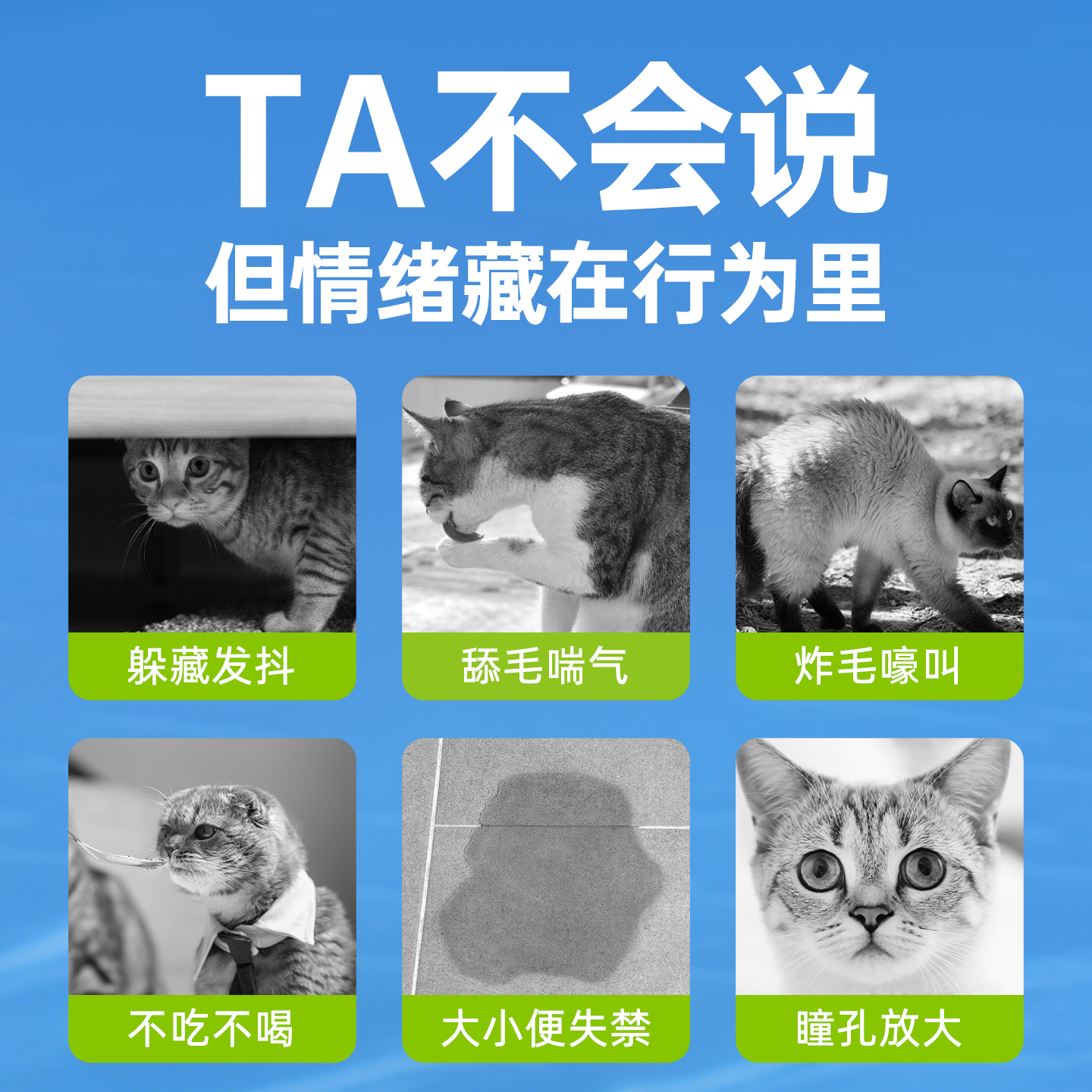 优养猫咪防应激舒缓情绪乱尿缓解安抚镇静抗应激洗澡焦虑费洛蒙猫
