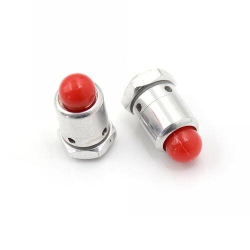 Length 34mm High Pressure cooker Safety Valve 3/8