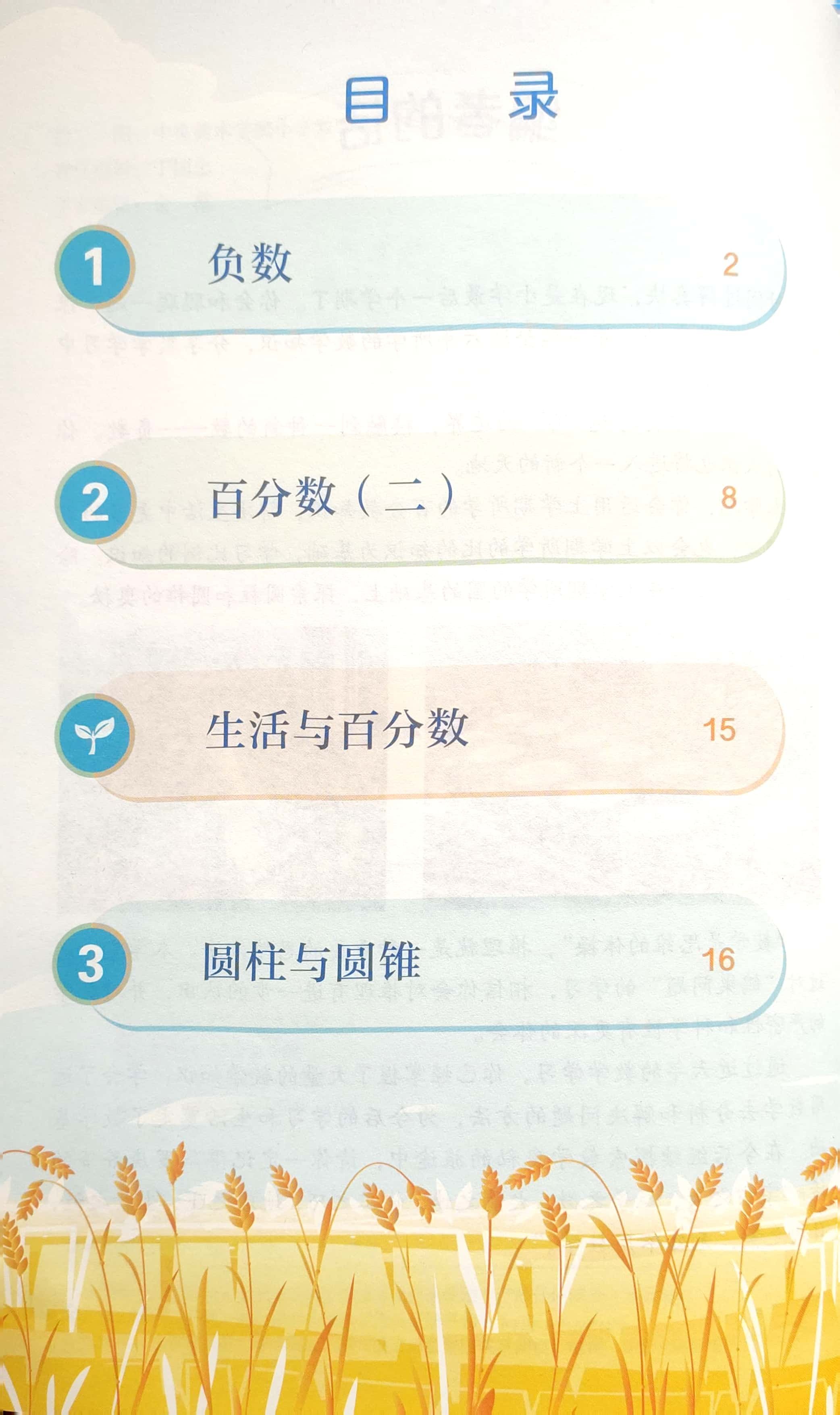 正版2024人教版小学数学书6六年级下册课本 人民教育出版社 6年级下册数学书 课本/教材/教科书 6下数学 六年级下册数学人教版_虎窝淘