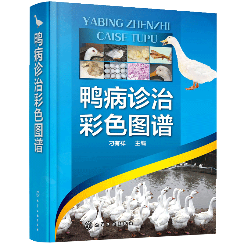 【书】正版鸭病诊治彩色图谱 鸭病诊断防治及类似疾病鉴别实用指导书 鸭病治疗诊断书籍 鸭病预防书籍 兽医应用书籍 - 图1