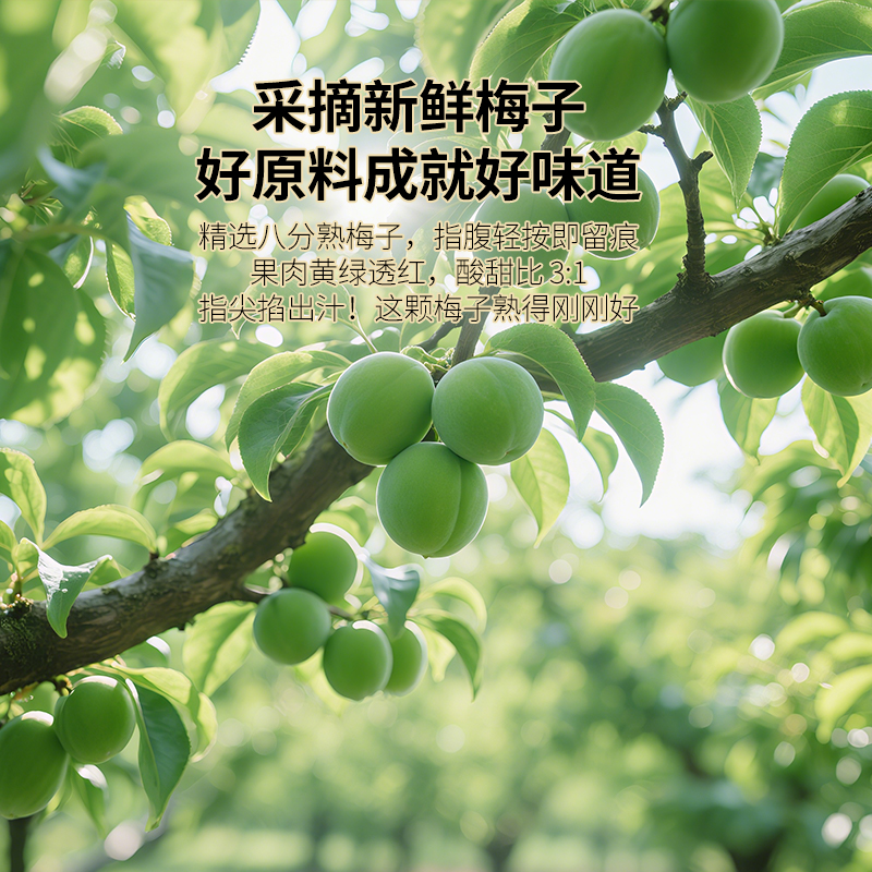 佰斯纳特陈皮话梅杨梅干话梅乌梅干蜜饯果脯茶伴侣小包装怀旧零食