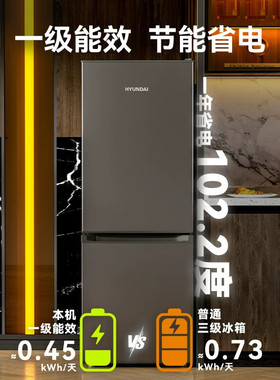 【一级能效】现代223L双门冰箱大容量家用中型小型冰箱租房省电