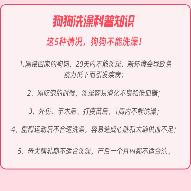 云宠宝狗狗精致洗护套餐预约到店服务毛发护理精细洗澡卡温和低敏 - 图3