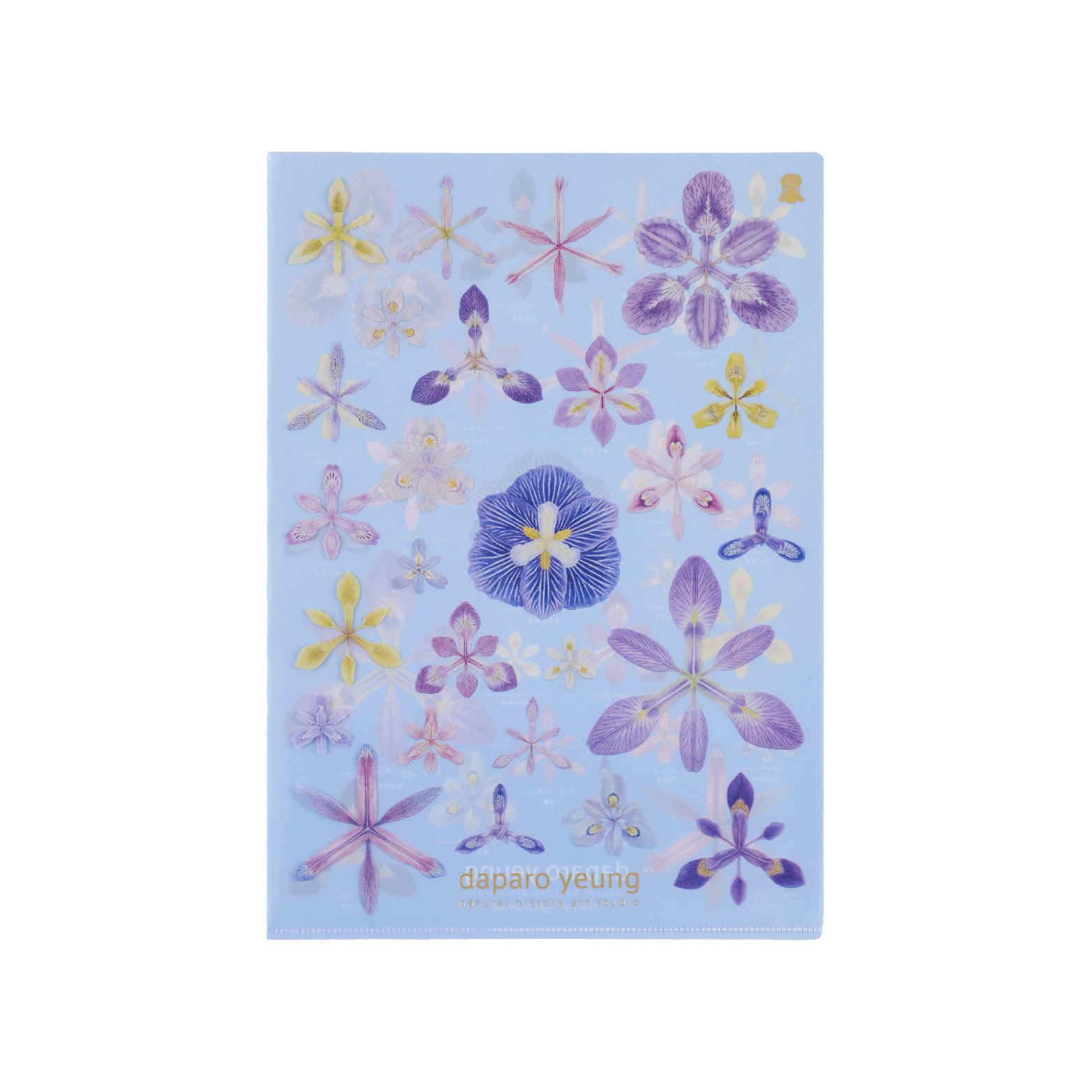 daparo yeung达普罗鸢尾文创单层文件夹花朵清新文具闺蜜节日礼物,淘宝优惠券,粉丝福利购,淘宝优惠卷