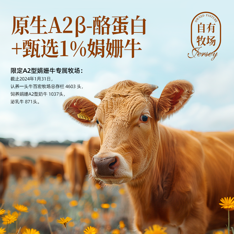【官方正品】认养一头牛A2β娟姗4.0g蛋白250ml小金瓶牛奶纯牛奶