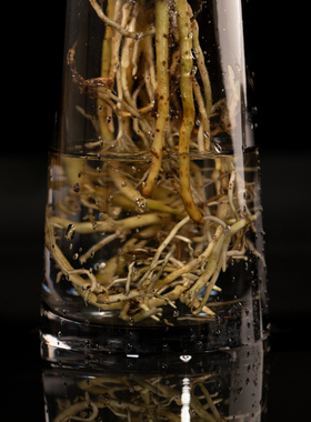 简园烟灰色玻璃花瓶配小天使