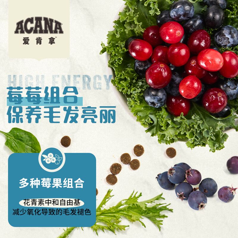 【官方旗舰】ACANA爱肯拿海洋盛宴猫粮进口美毛成幼猫粮5.4kg - 图3