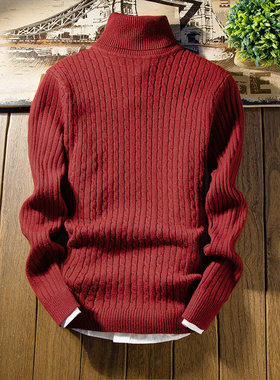 MaleSwterWinPuovTNeck