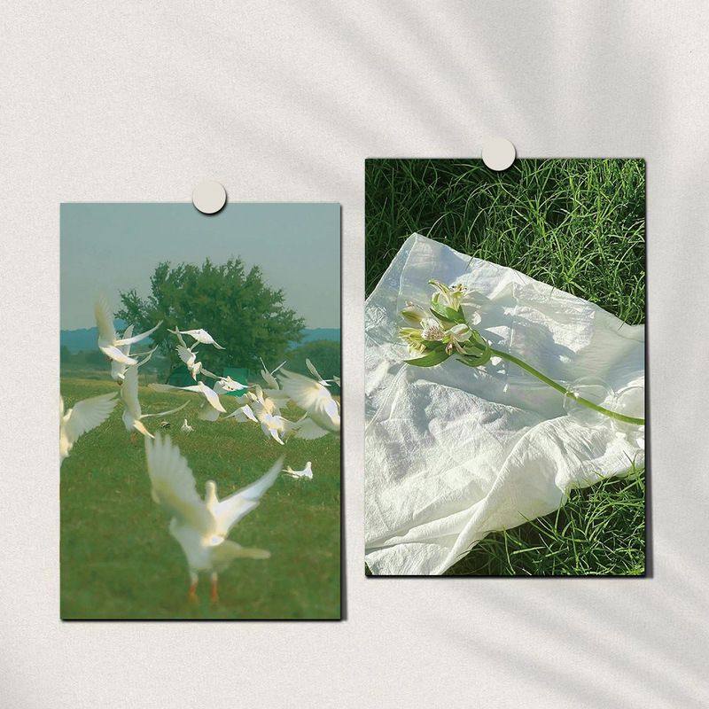 10张ins风绿色小清新卡片留言卡明信片卧室墙面墙上装饰自粘墙贴,淘宝优惠券,粉丝福利购,淘宝优惠卷