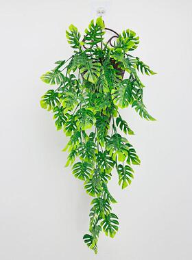 仿真绿植蕨类藤条波斯叶龟背叶壁挂人造植物藤蔓管道遮挡摆件装饰
