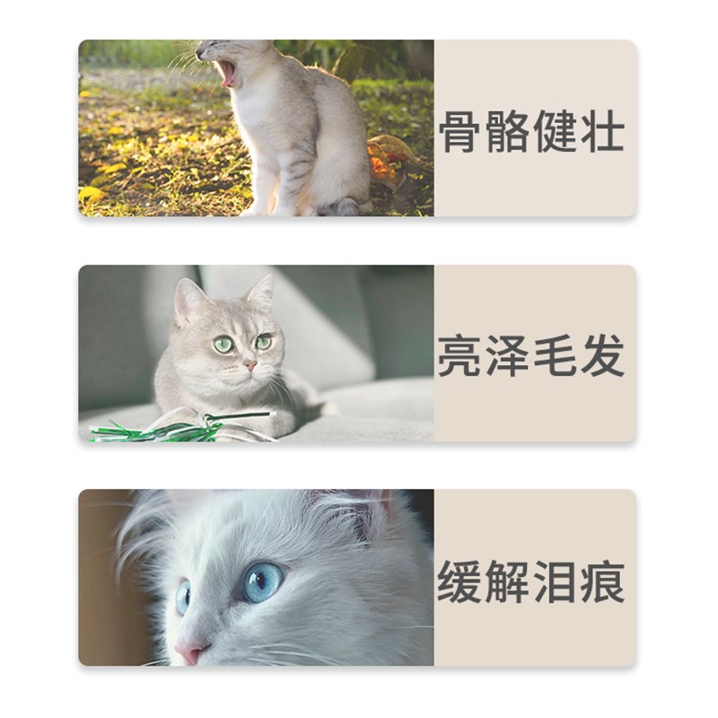 夸克纯美b猫粮10kg英短美短专用牛肉味鱼肉味通用型猫粮公斤20斤优惠券