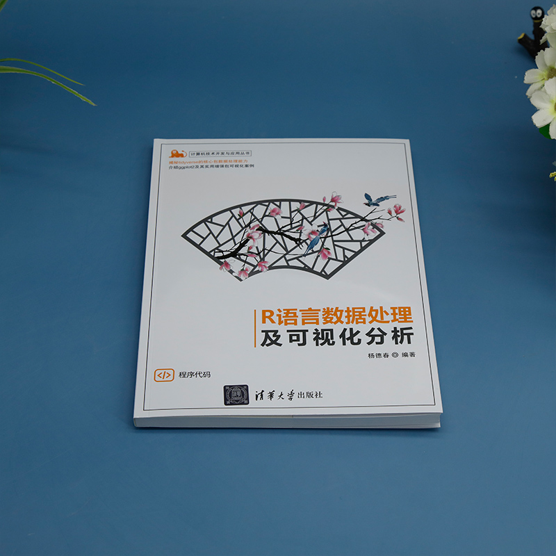 R语言数据处理及可视化分析 杨德春 计算机技术开发与应用丛书 常见数据处理方法ggplot2可视化教程书籍 清华大学出版社 - 图0