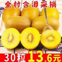 Yellow Heart Exotic Fruits Fresh 5 catties The whole box now off Sichuan Zhengzonge Exotic Fruits Big Fruits when Pregnant Women Fruits