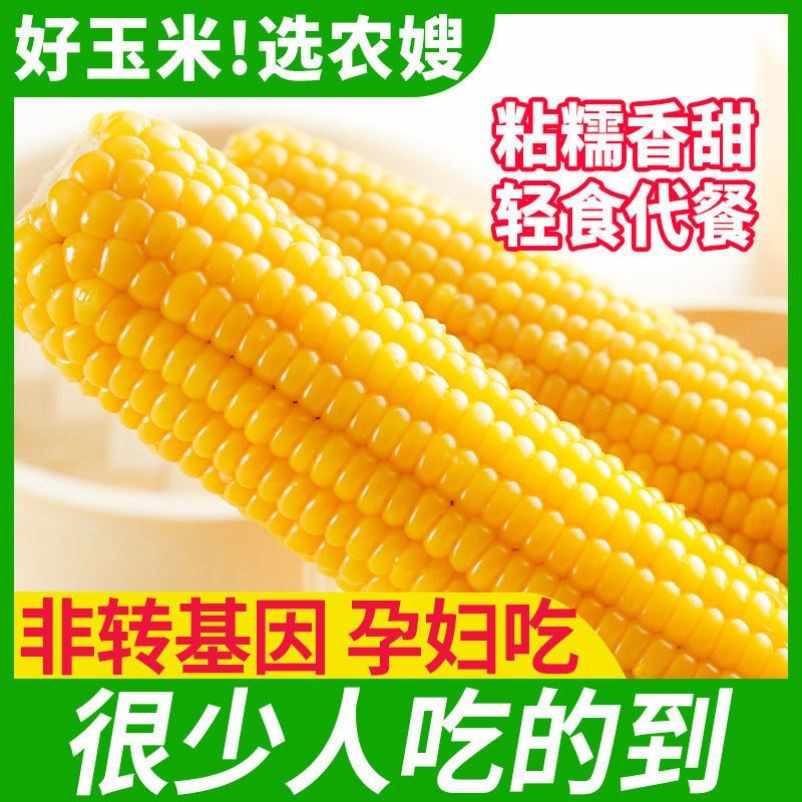 2094円 もらって嬉しい出産祝い 大人気中国とうもろこし 真空 黄玉米 粘玉米 40本 糯とうもろこし トウモロコシ 粘苞米 糯玉米 玉米 中華物産 中華食品 送料無料 2094円 もらって嬉しい出産祝い 大人気中国とうもろこし 真空 黄玉米 粘玉米 40本 糯とうもろこし トウモロコシ 粘苞米 糯玉米 玉米 中華物産 中華食品 送料無料