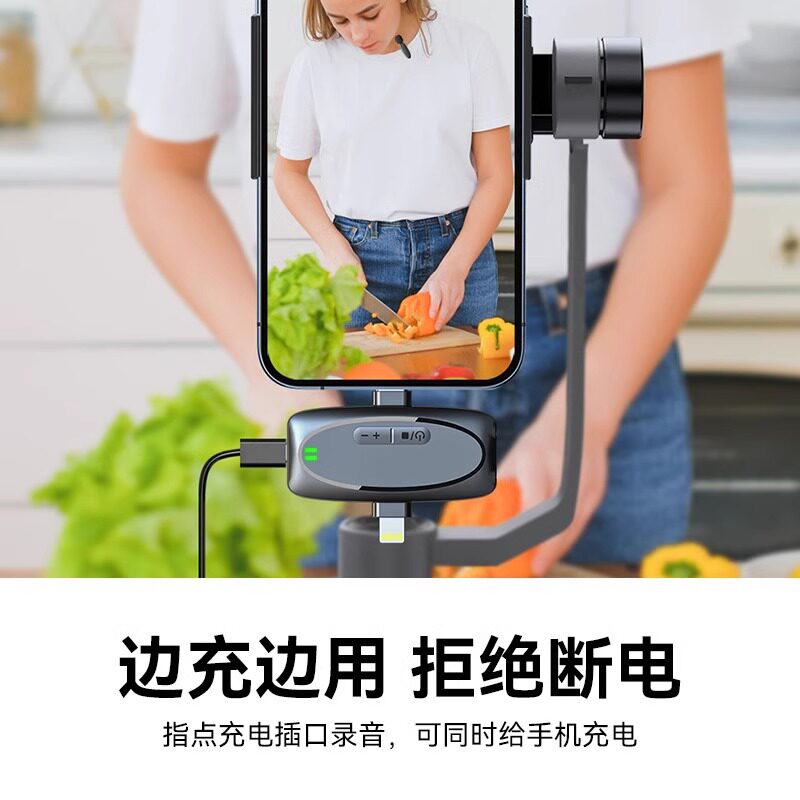  志随麦克风/话筒