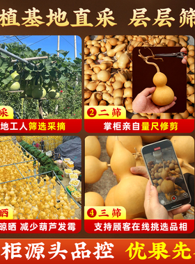 天然葫芦挂件手工编织工艺品开口