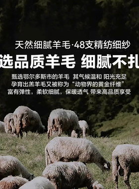 高品质男士后封口冬季保暖棒球帽