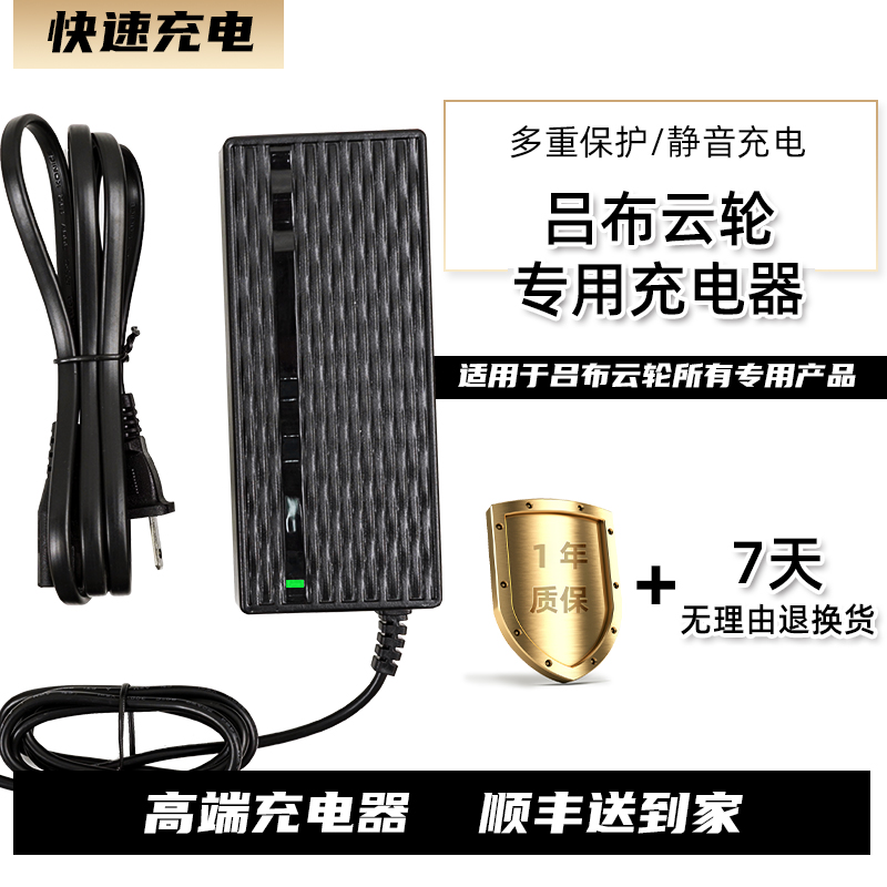 吕布云轮电池充电器自行车电动助力器110V-220V锂电池快充专用款-图2