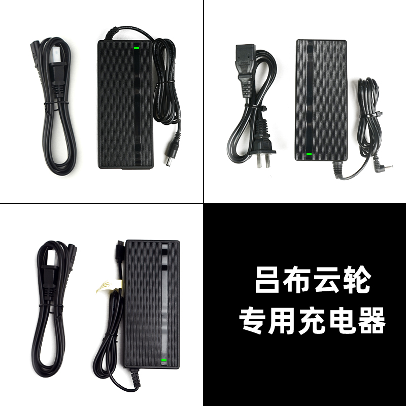 吕布云轮电池充电器自行车电动助力器110V-220V锂电池快充专用款