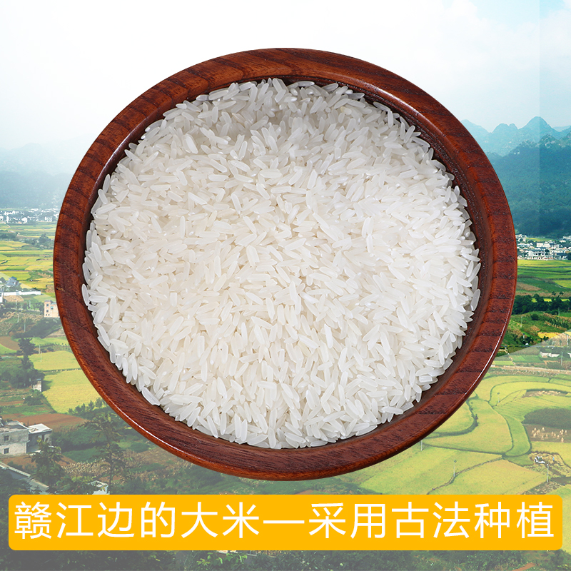赣江味稻油粘米5kg江西南方大米长粒香大米煮粥清香真空散装大米 - 图1