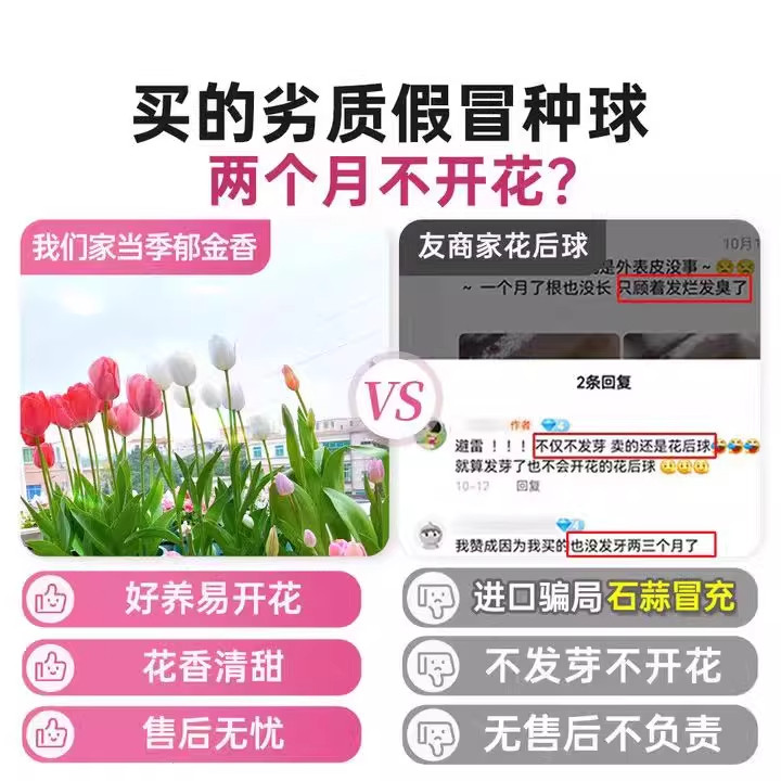 进口郁金香种球秋冬花卉耐寒花种子室内盆栽水培土培地栽开花植物,淘宝优惠券,粉丝福利购,淘宝优惠卷