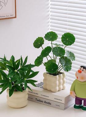 仿真绿植摆件盆栽造景拍摄道具客厅电视柜茶几餐桌工位装饰假植物