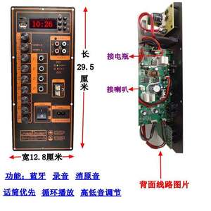 大功率广场舞拉杆音箱主板12V铅酸220适用于特美声金正音响功放板