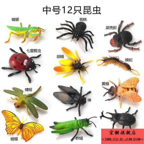 昆虫玩具仿真动物模型套装蚊虫子蝎子螳螂蝴蝶独角仙蜘蛛儿童礼物 - 图1