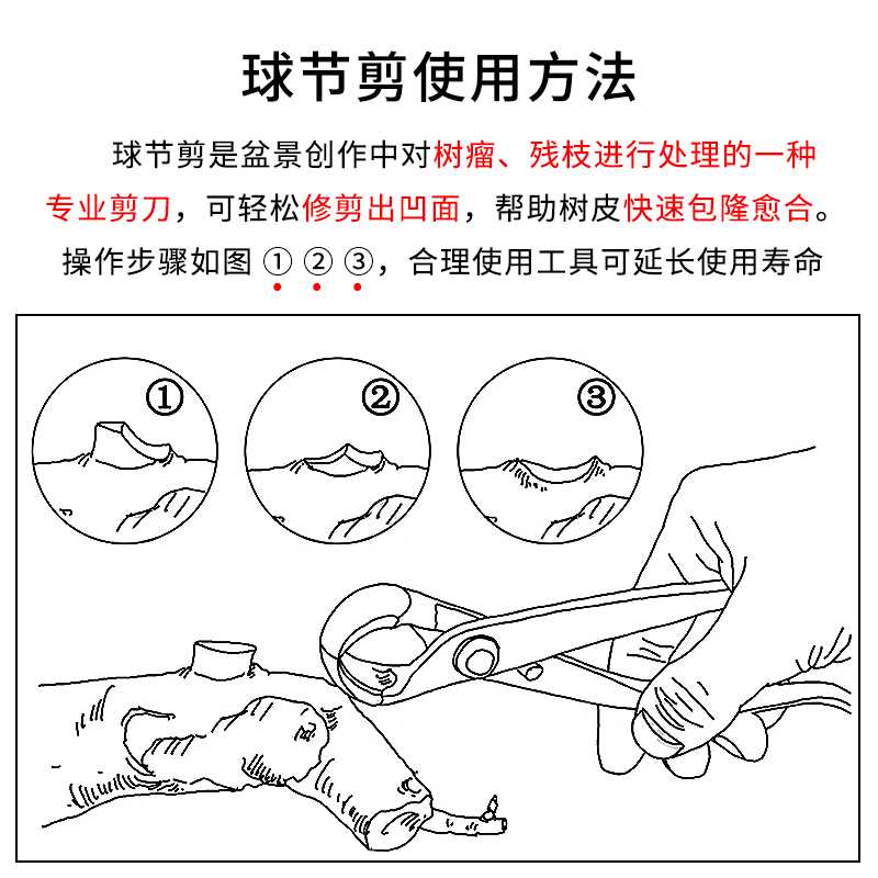 盆景球节剪球钳盆栽树瘤树节修剪钳专业园艺花艺制作造型养护工具 - 图2