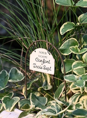 拱形悬挂吊牌花插花园装饰杂货