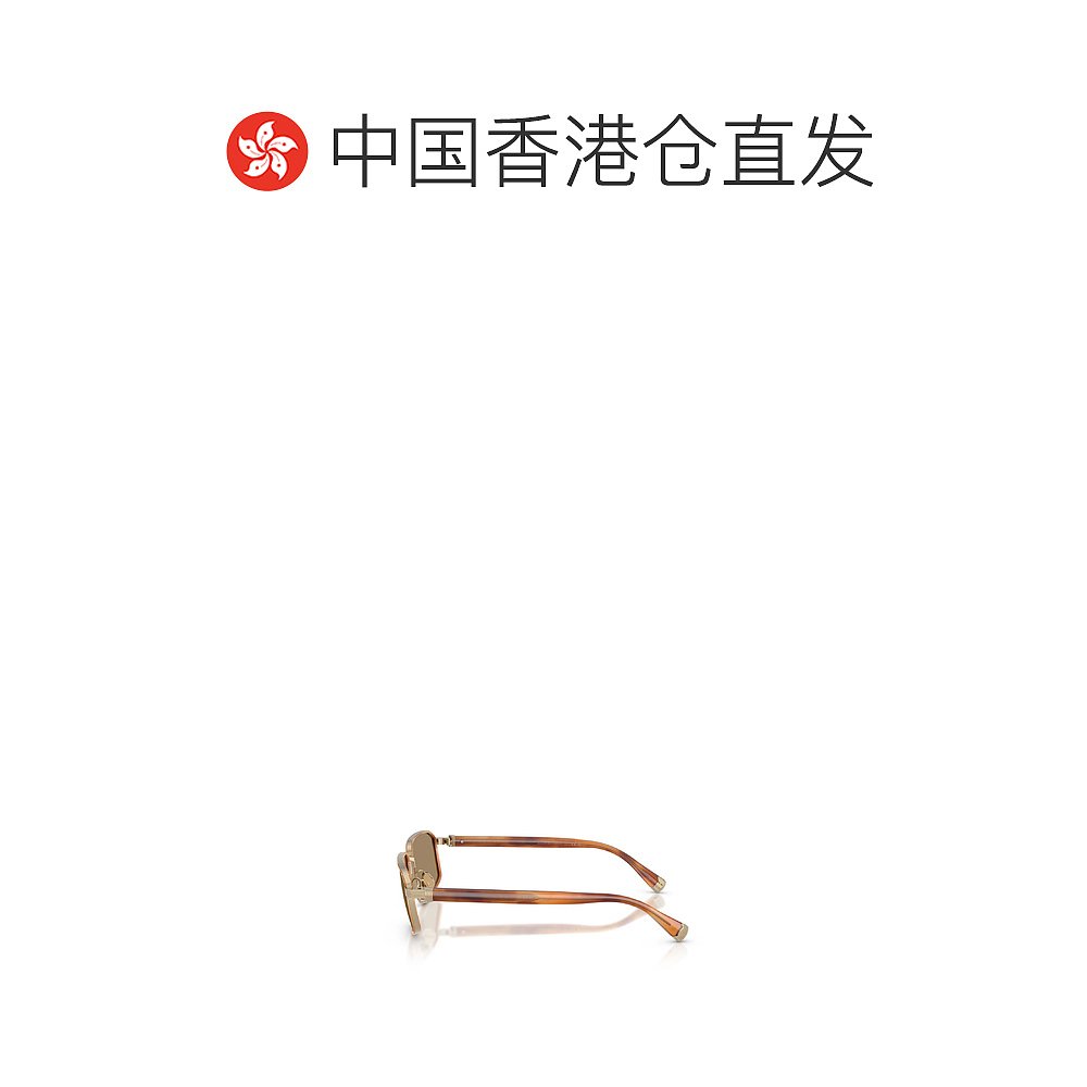 香港直邮Brunello Cucinelli 全框太阳镜 BC2009ST - 图1