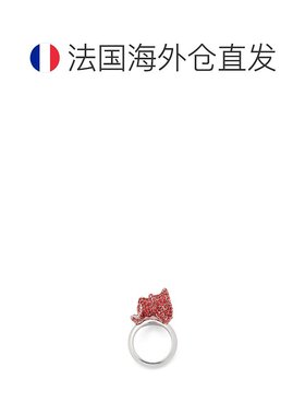 欧洲直邮LOEWE（罗意威）女士2024上新 银质和水晶 Glitter Fragm