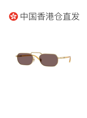 PERSOL 男士太阳镜 PO1020S112953 CO 金色