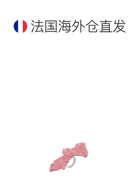 欧洲直邮LOEWE（罗意威）女士2024上新 大号银质和水晶 Glitter F